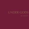 Couverture_Under_Gods_Liz_Hingley