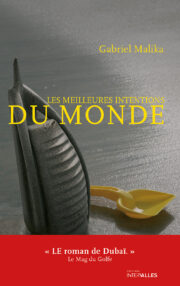 Couverture_Les_meilleures_intentions_du_monde_Gabriel_Malika