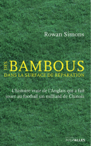 Couverture_Des_bambous_dans_la_surface_de_reparatin_Rowan_Simons