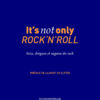 Couverture_It_s_not_only_rock_n_roll_Catherine_Viale_Mathias_Moreau